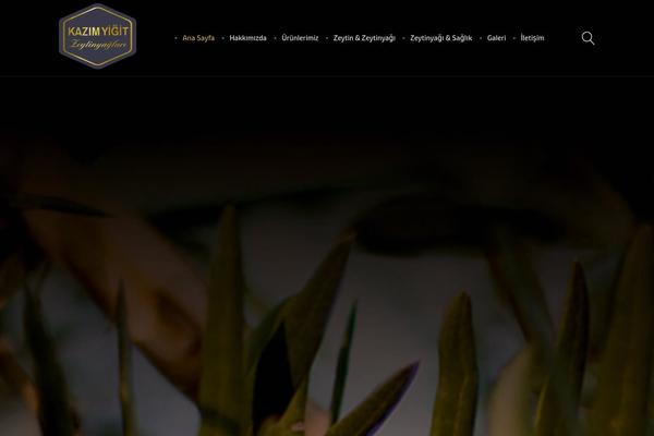 kazimyigit.com site used Laboom