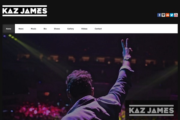Acoustic theme site design template sample