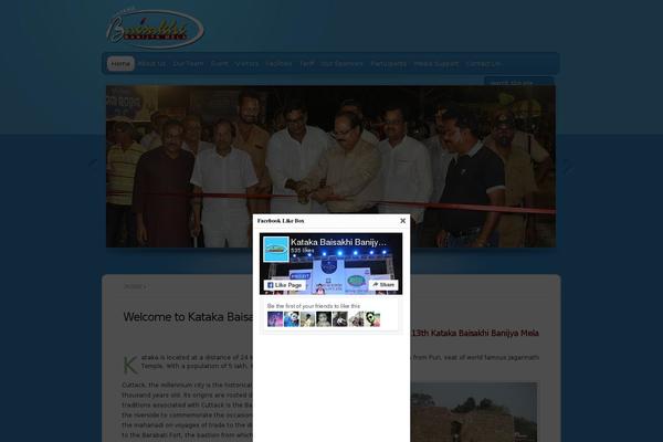 TheProfessional theme site design template sample