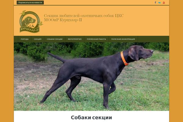 Extent-wp theme site design template sample