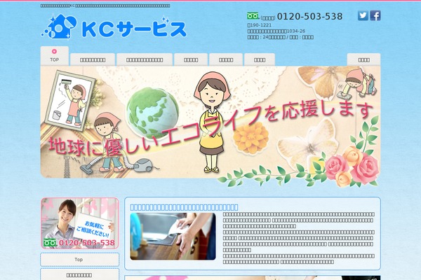Promotionblog theme site design template sample