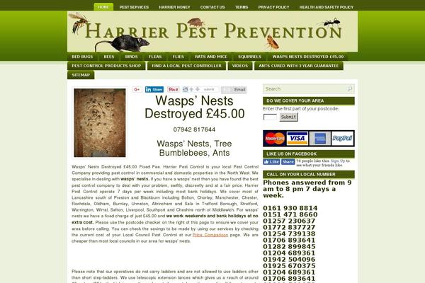 Site using All In One Schema.org Rich Snippets plugin