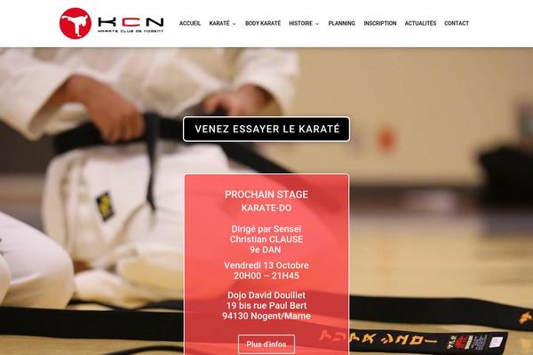 Divi Child theme site design template sample