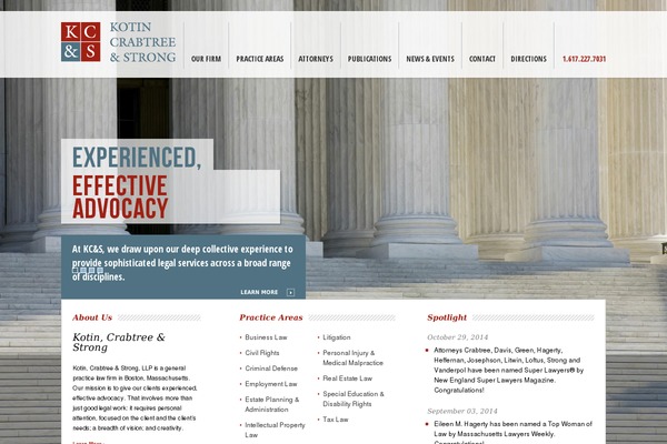 Custom Theme theme site design template sample