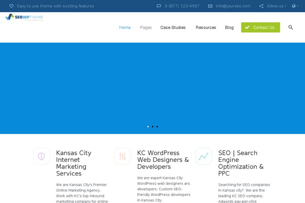 SEOWP theme site design template sample