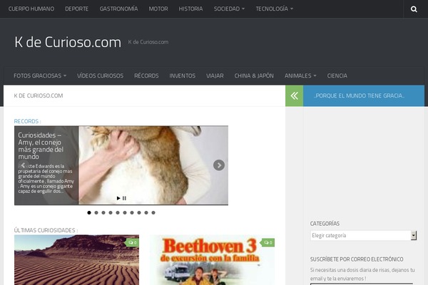 Hueman theme site design template sample