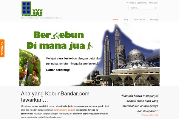 Acabado theme site design template sample