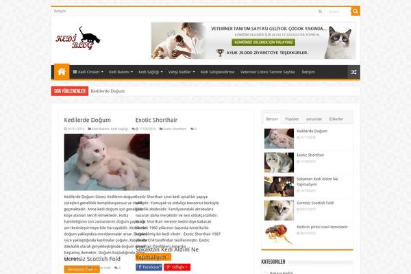 Site using Progress-bar-wp plugin