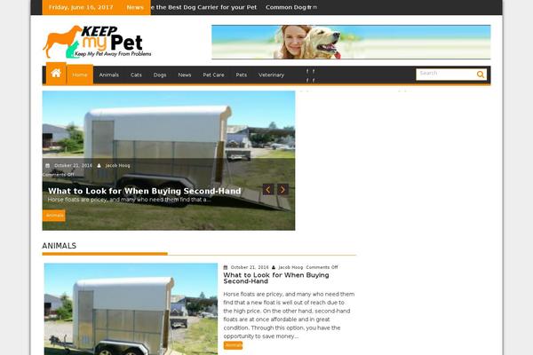 SuperMag theme site design template sample
