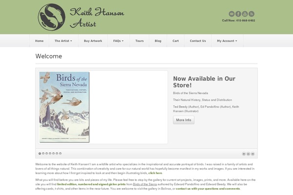 Akita theme site design template sample