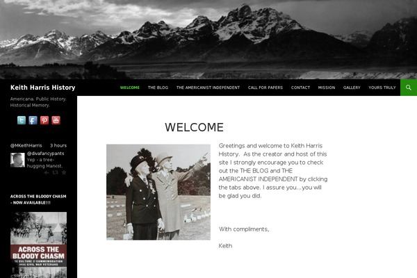 Site using CPO Widgets plugin