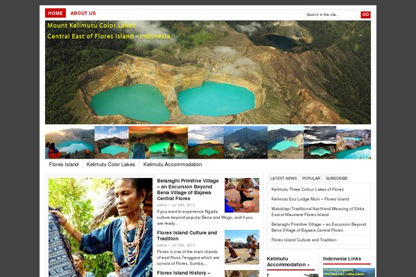 Newswire theme site design template sample