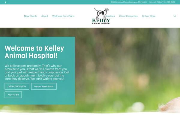 Site using Lifelearn-accessibility plugin