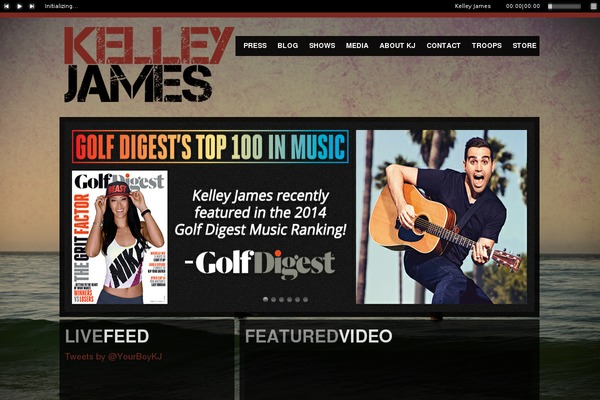 Pendulum theme websites examples