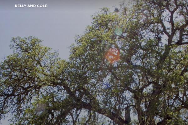 Inspiro theme site design template sample