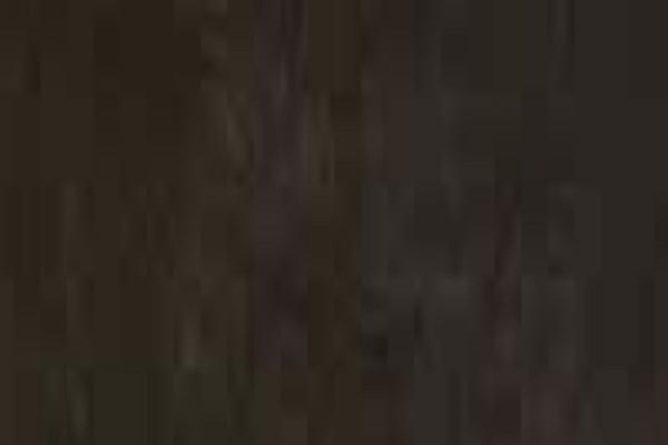 Twenty Seventeen theme site design template sample