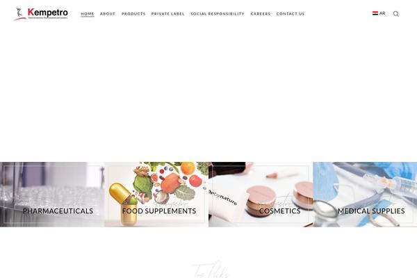 Biagiotti theme site design template sample