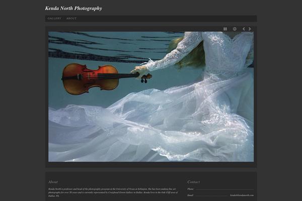 Photo-workshop theme site design template sample