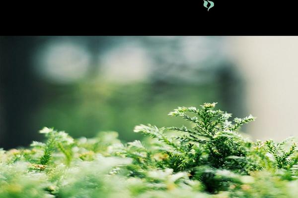 Snow-monkey theme site design template sample