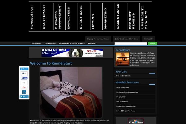 zindi-II theme site design template sample
