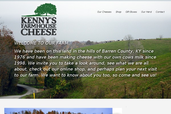White Rock theme site design template sample