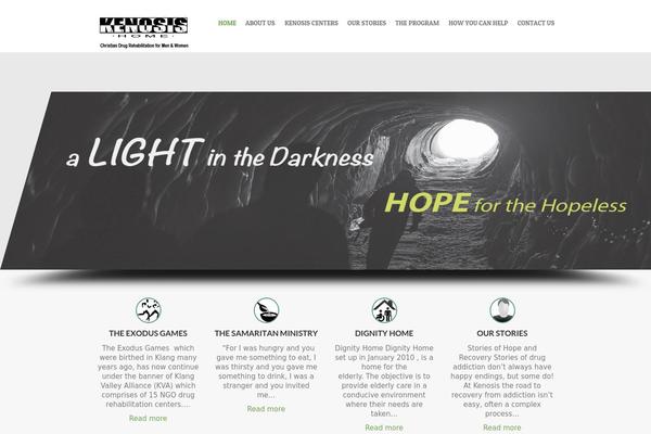 Interface Pro theme site design template sample