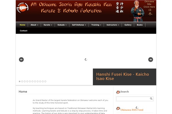 Modernize theme site design template sample