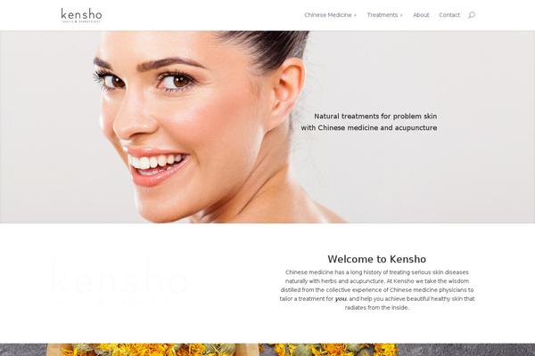 Site using Elegant Themes Icons plugin