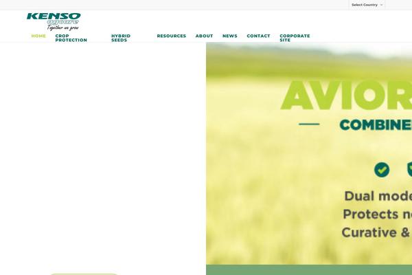 Site using All in One SEO Pack plugin