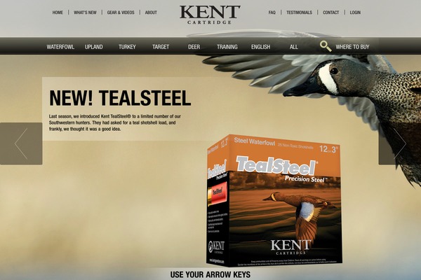 Kent theme site design template sample
