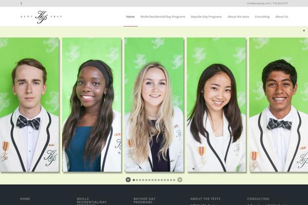 Site using Wp-fastest-cache-premium plugin