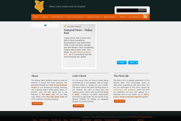 Webfolio theme site design template sample