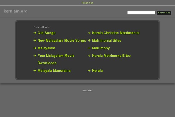 Newswire theme site design template sample