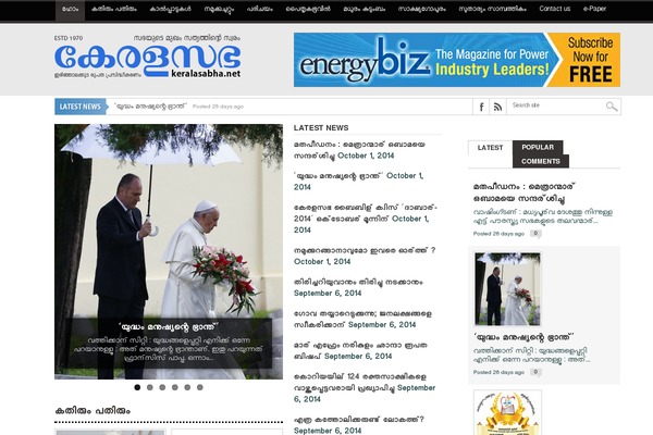 Max Mag theme site design template sample