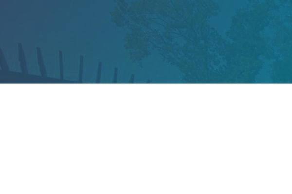 Site using Wp-spamshield-master plugin