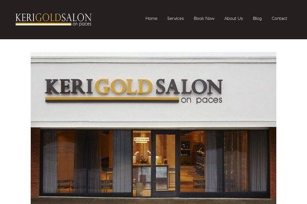 ArileWP theme site design template sample