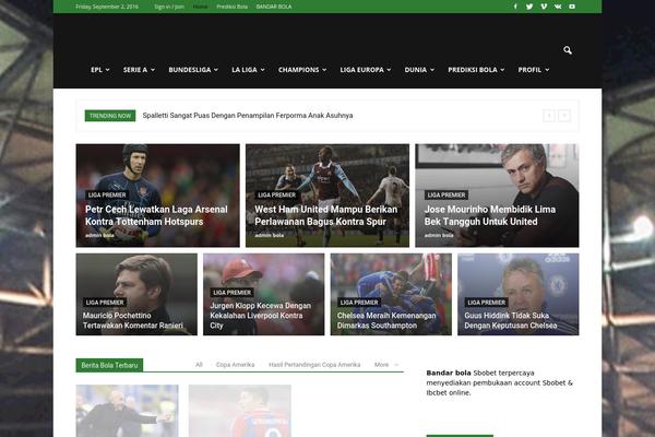 Newspaper theme site design template sample
