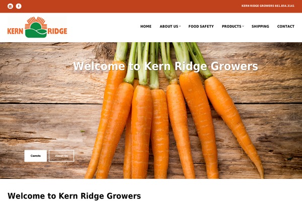 Triven theme site design template sample