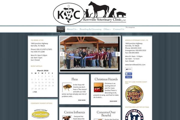 Magnificent theme site design template sample
