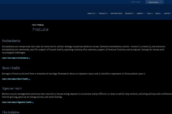 Avada Child theme site design template sample