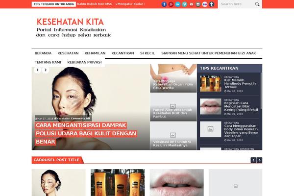 NanoMag theme site design template sample