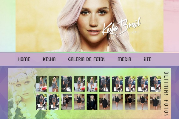 Site using Fancy Gallery plugin