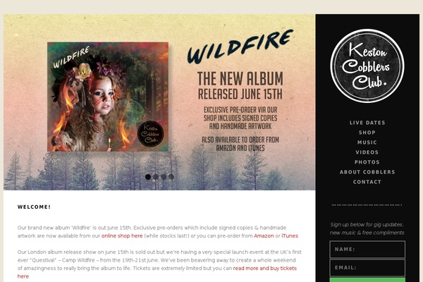 Site using Audiotheme plugin