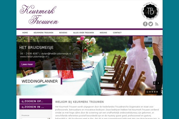OpenDoor theme site design template sample
