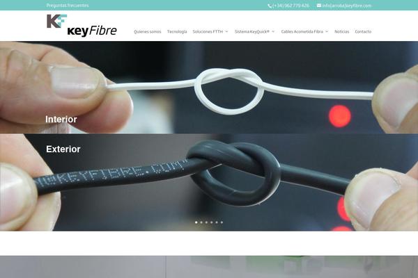 Site using Dflip plugin