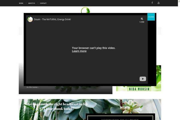 Site using Smart Post Lists Light plugin