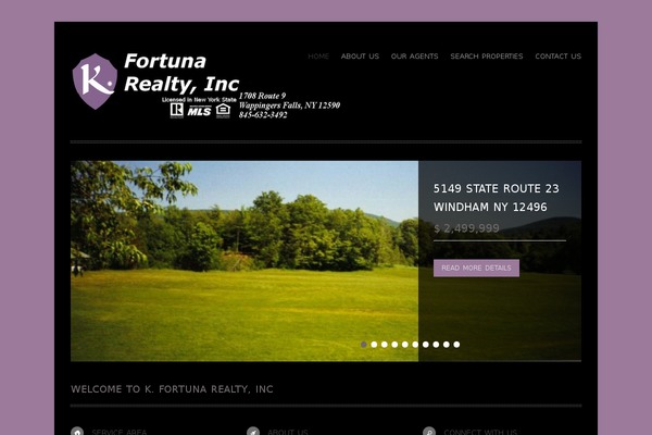 Pureparadise theme site design template sample