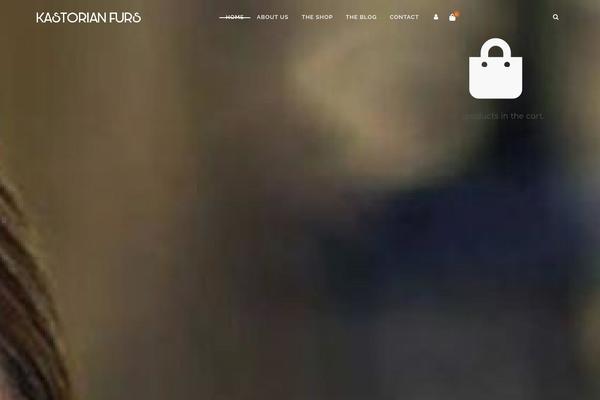 Site using Woocommerce-brands plugin