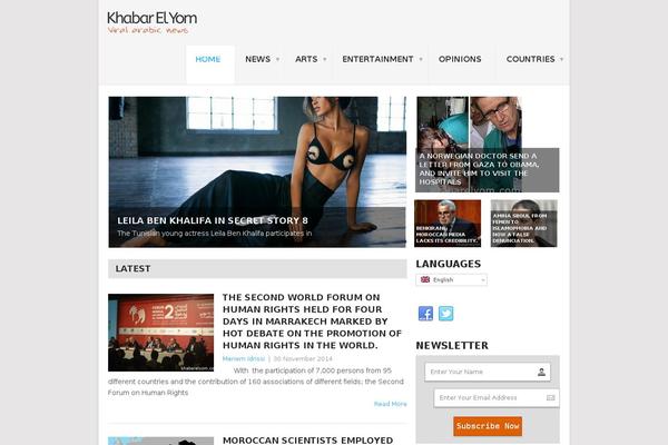 Looks-blog theme site design template sample