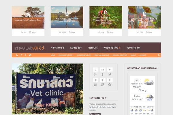 Truemag theme site design template sample